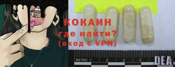 ПСИЛОЦИБИНОВЫЕ ГРИБЫ Горняк