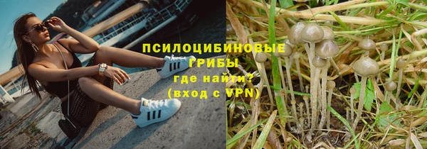 скорость Гусев