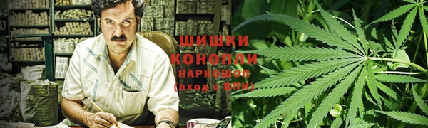 ПСИЛОЦИБИНОВЫЕ ГРИБЫ Горняк