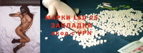ПСИЛОЦИБИНОВЫЕ ГРИБЫ Горняк