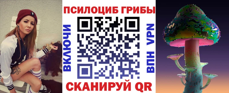 Купить закладки  Нефтегорск  Псилоцибиновые грибы прущие грибы 